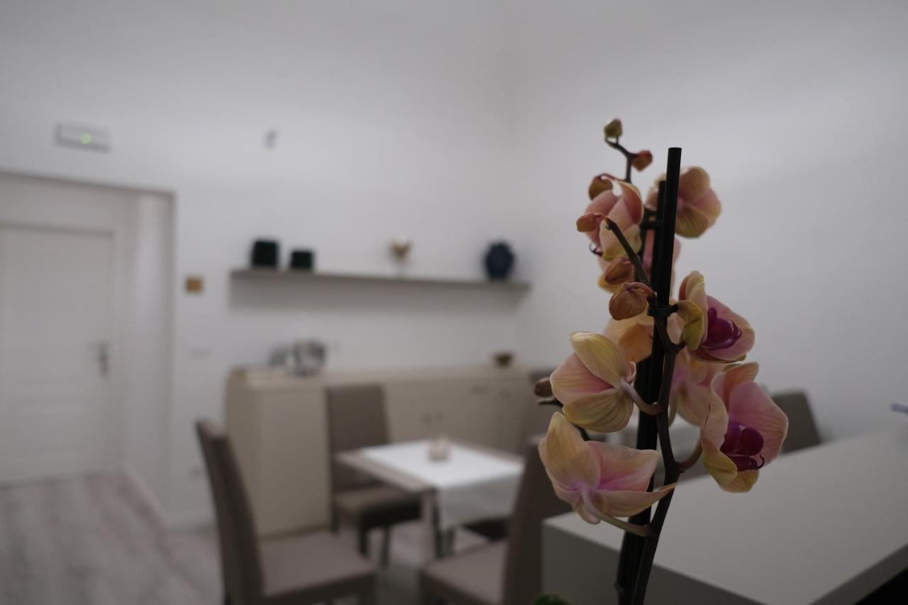 Heart City Rooms كاتانيا المظهر الخارجي الصورة